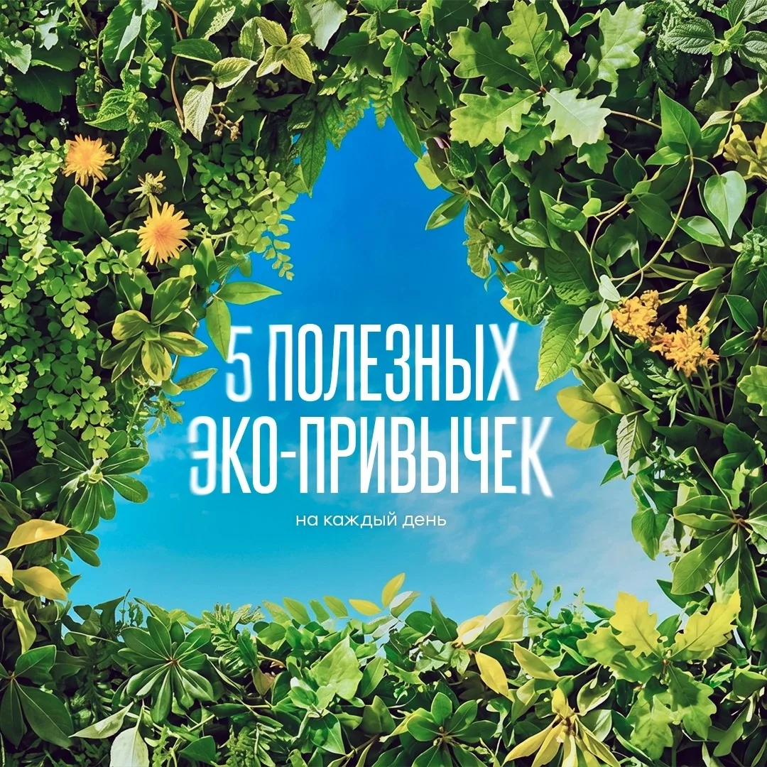 5 июня отмечается Всемирный день охраны окружающей среды 💚🍃