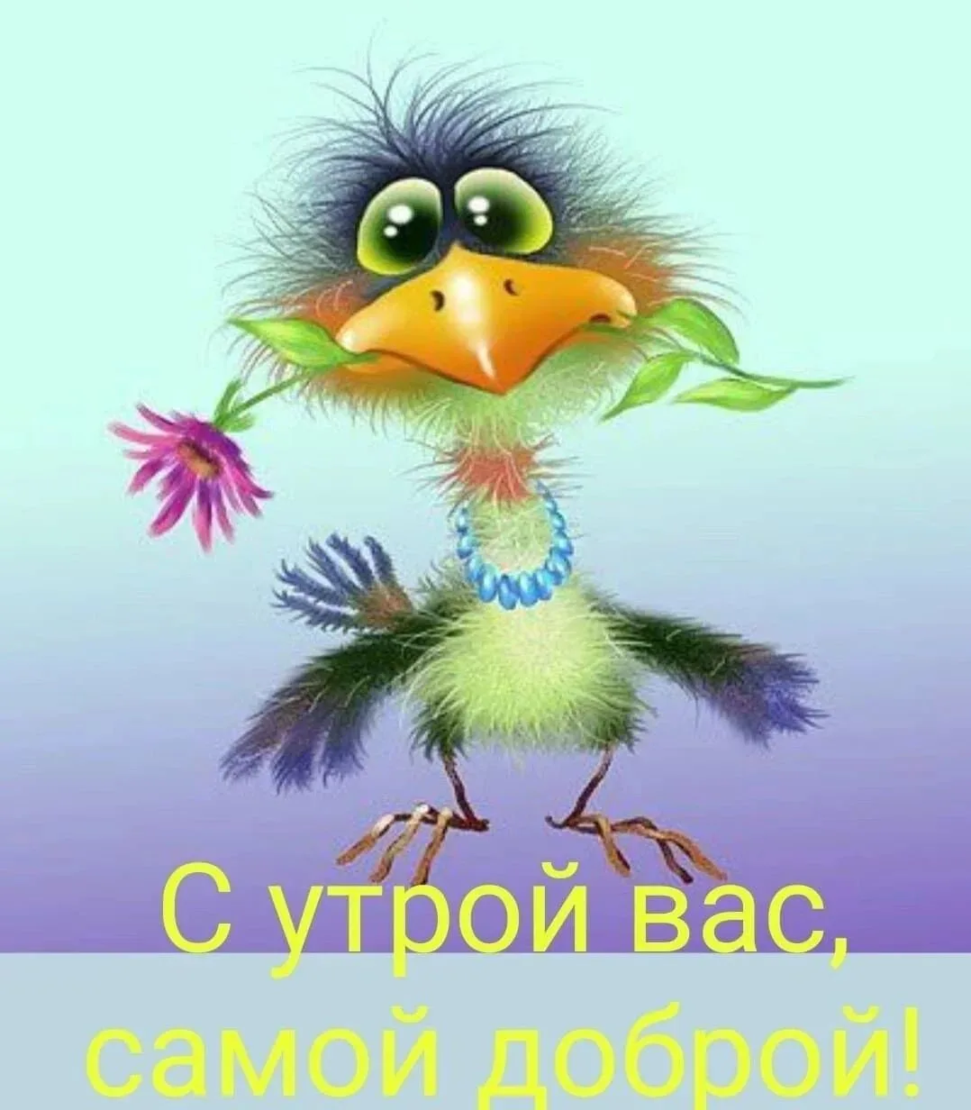 Всем доброго понедельника и лёгкой недели, друзья мои! 😍🥰