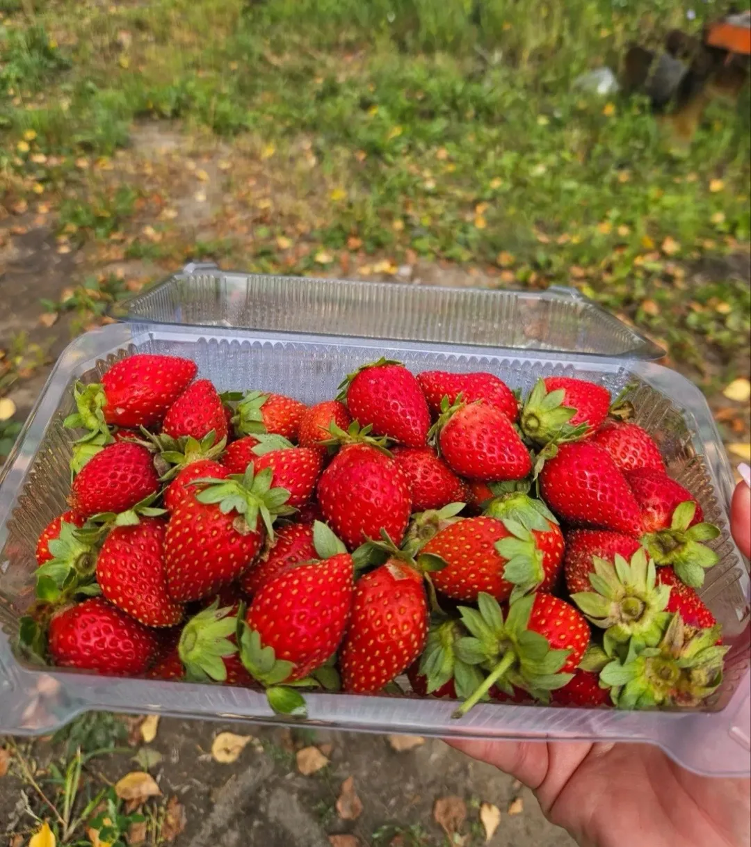Дорогие друзья поступила Ягода🍓