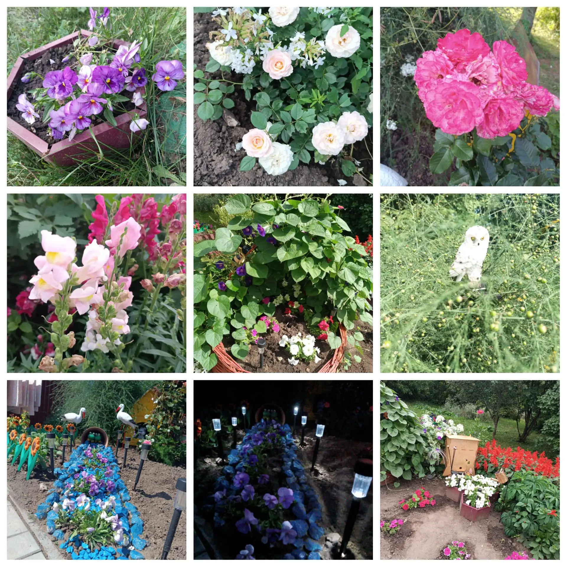 "Цветочный рай своими руками"🌹🌺🌷