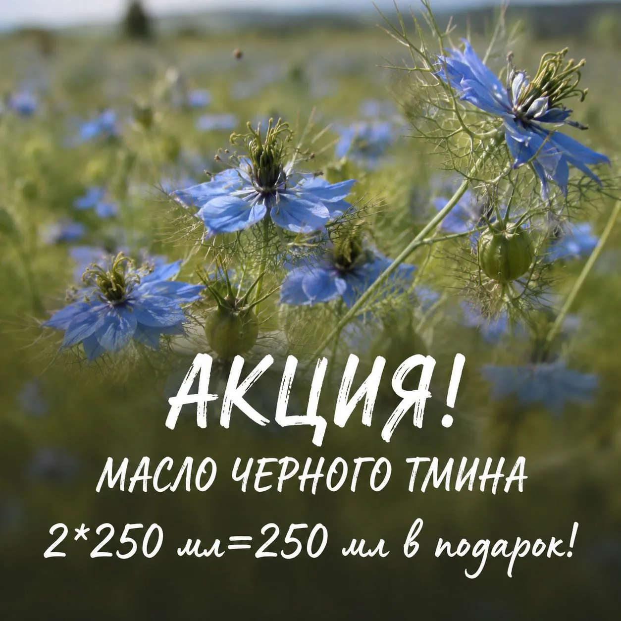 ЛЕТО - это …