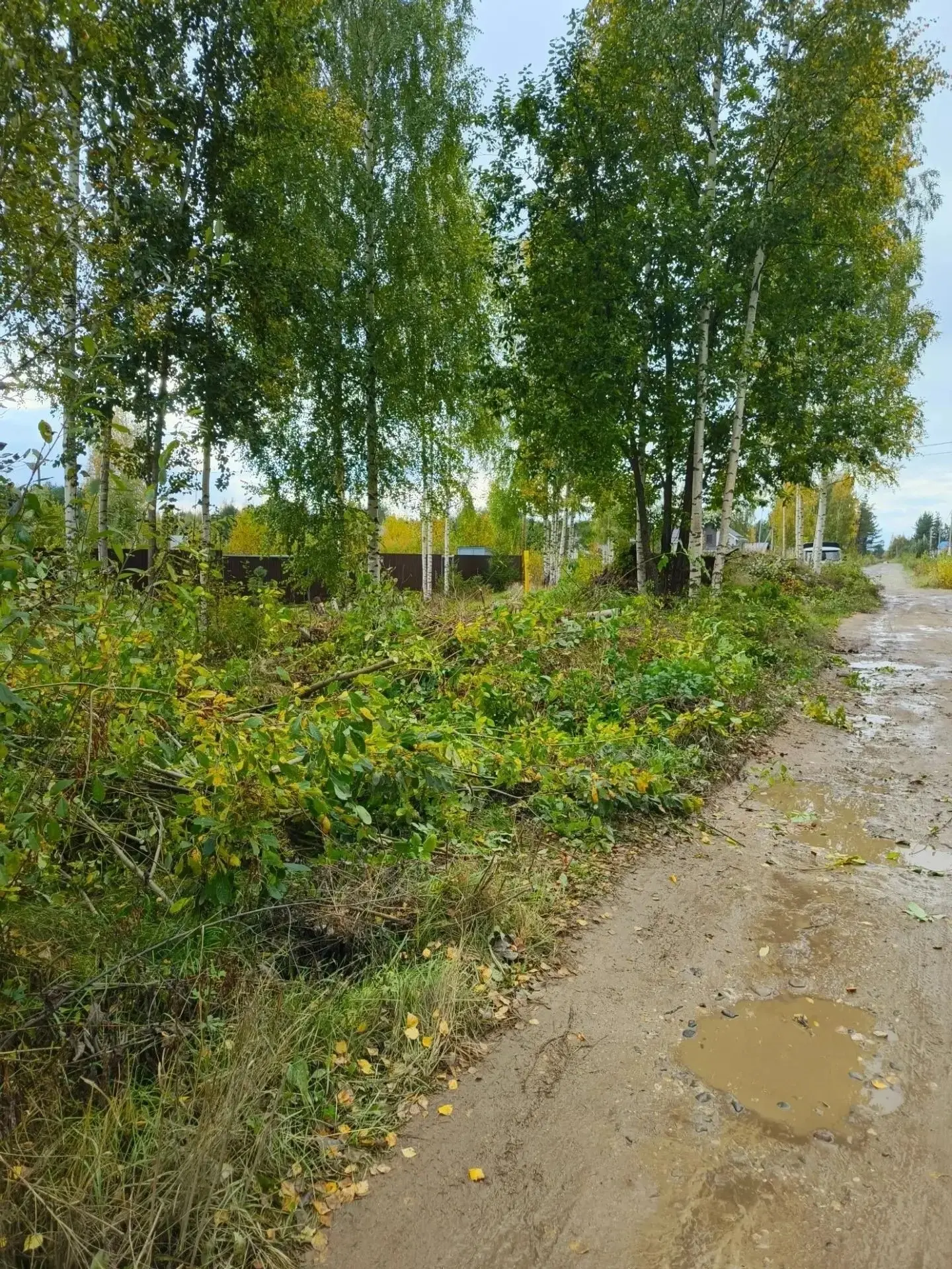 Благоустройство в Городище