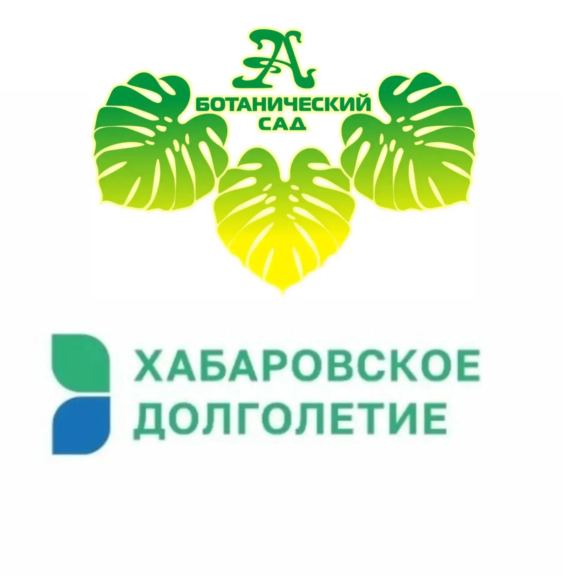 А вы уже используете свою карту «Хабаровское долголетие»?