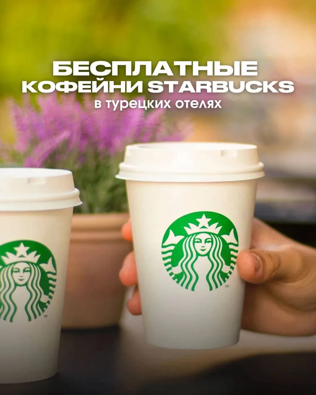 КОФЕМАНЫ, ЭТОТ ПОСТ ТОЧНО ДЛЯ ВАС… ☕️🇹🇷