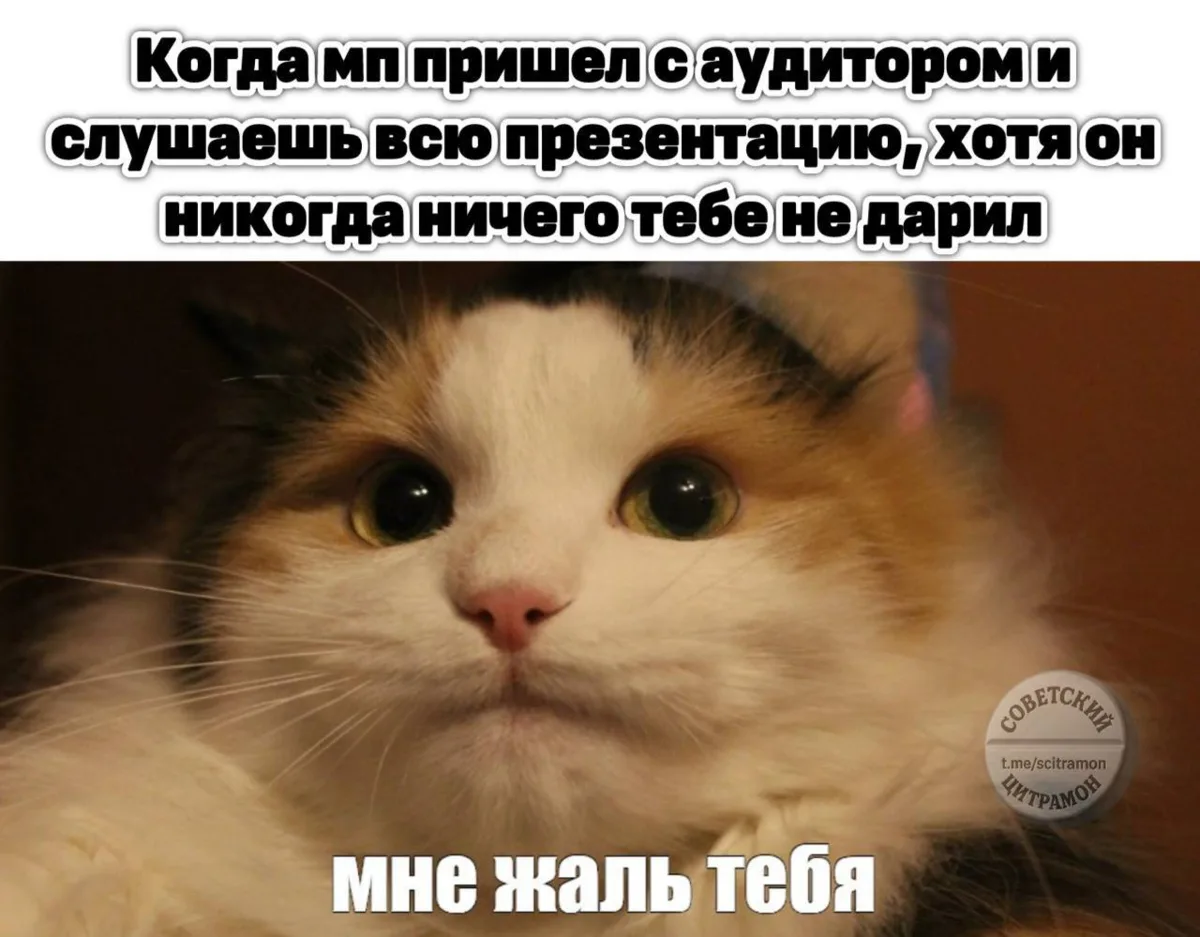 Цитрамон. Подписаться