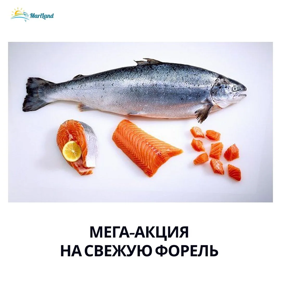 Друзья, спешим сообщить, что по вашим просьбам мы продлили скидку на свежую форель! 🐟