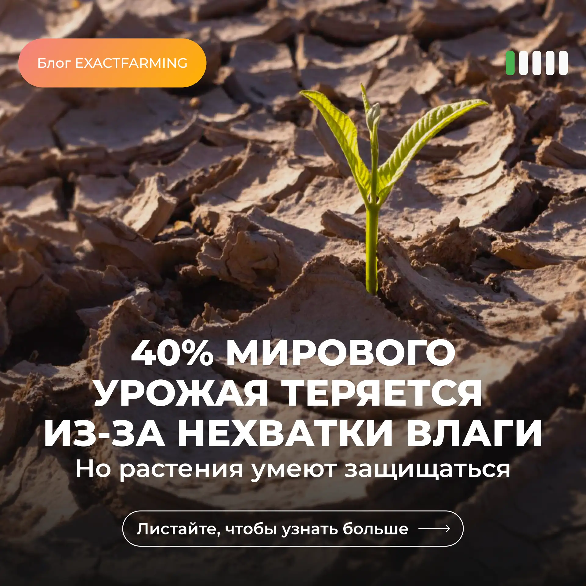 Засуха забирает более 40% мирового урожая. Но у растений есть свои приемы для защиты от...