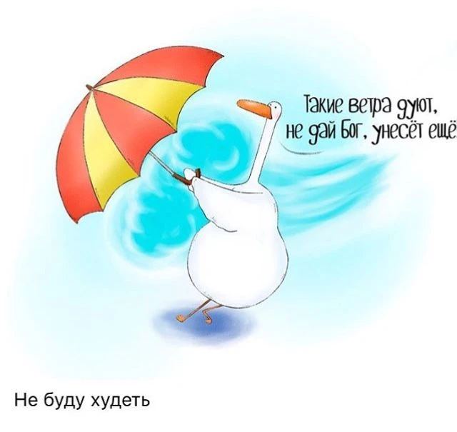 Подпишись, чтобы не потерять👇