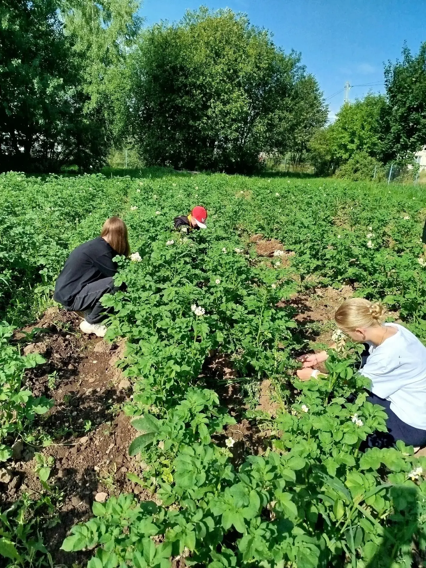 🌿 Трудовой десант 7-А завершает работу!

Вот и подходит к концу ещё одна трудовая неделя. Сегодня —