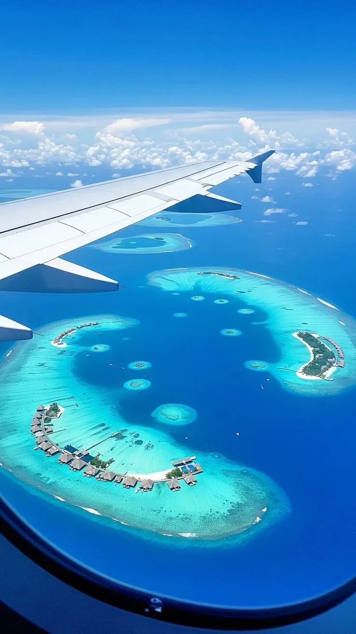 🏝️Мальдивы. прямой перелет. 30 августа.