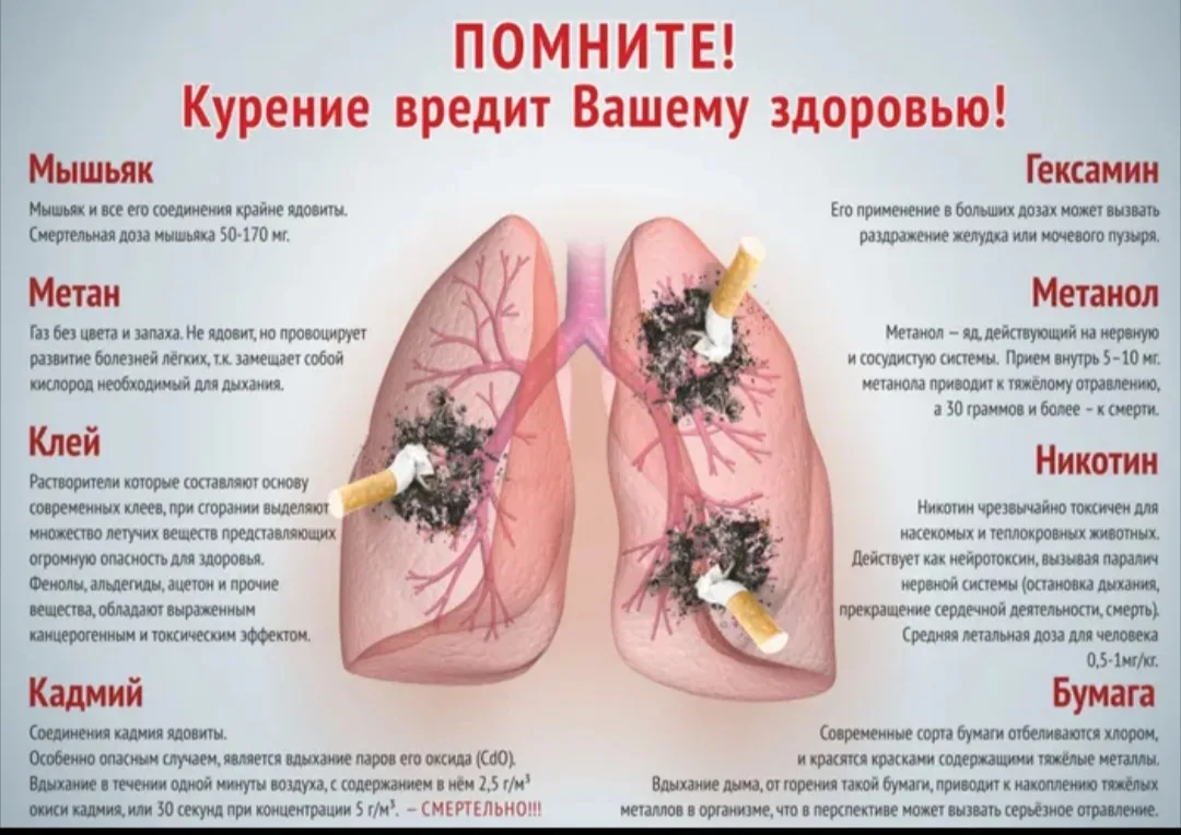 🚫Курение вредит здоровью!🚫