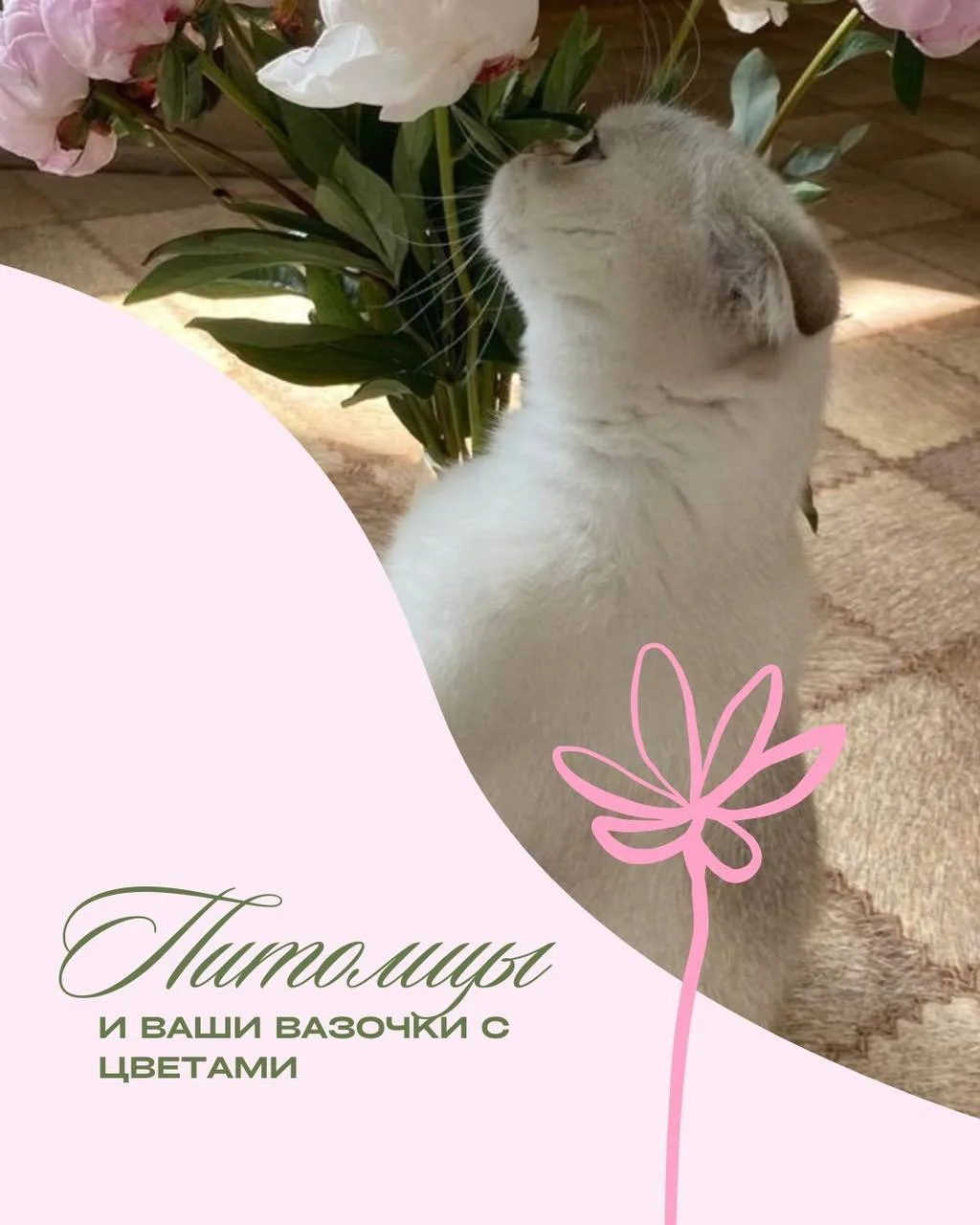 Почему питомцам нельзя пить воду из вазы?
