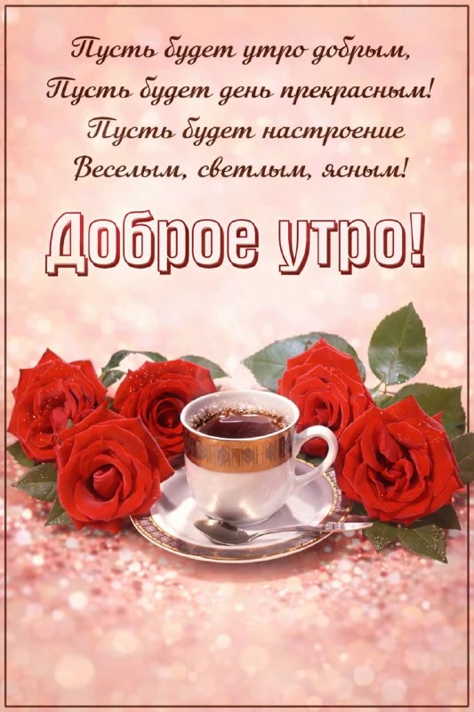 НАШИ КАНАЛЫ: