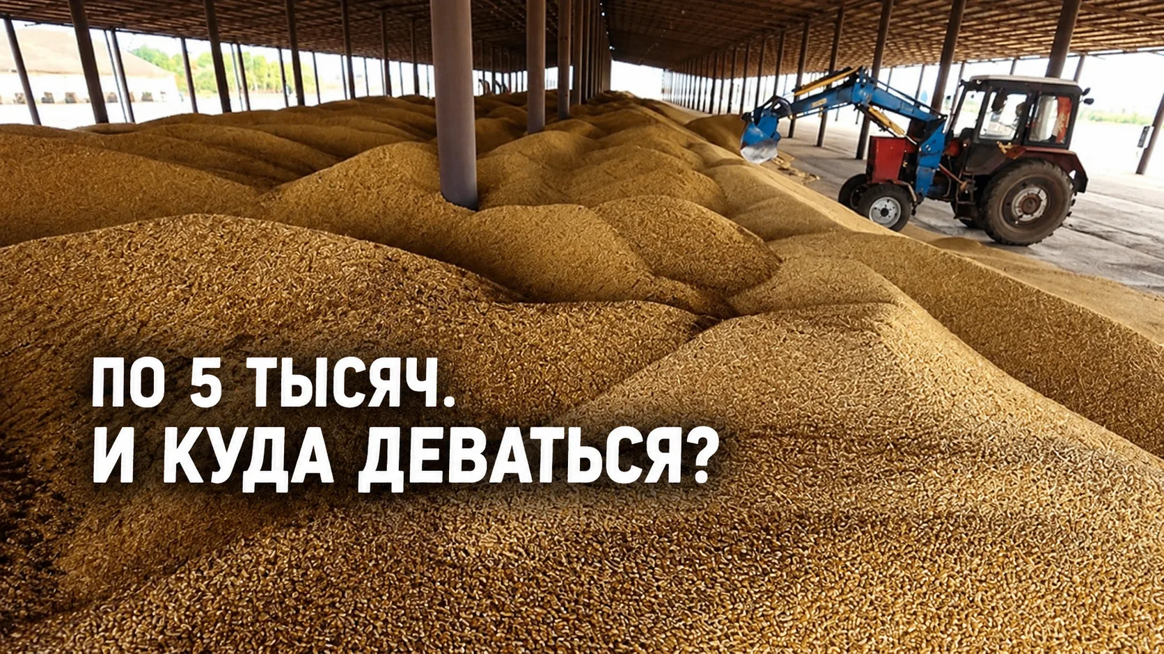 ДОЖДАЛИСЬ. ПШЕНИЦУ УЖЕ ПРЕДЛАГАЮТ ЗАБИРАТЬ ПО 5 ТЫСЯЧ