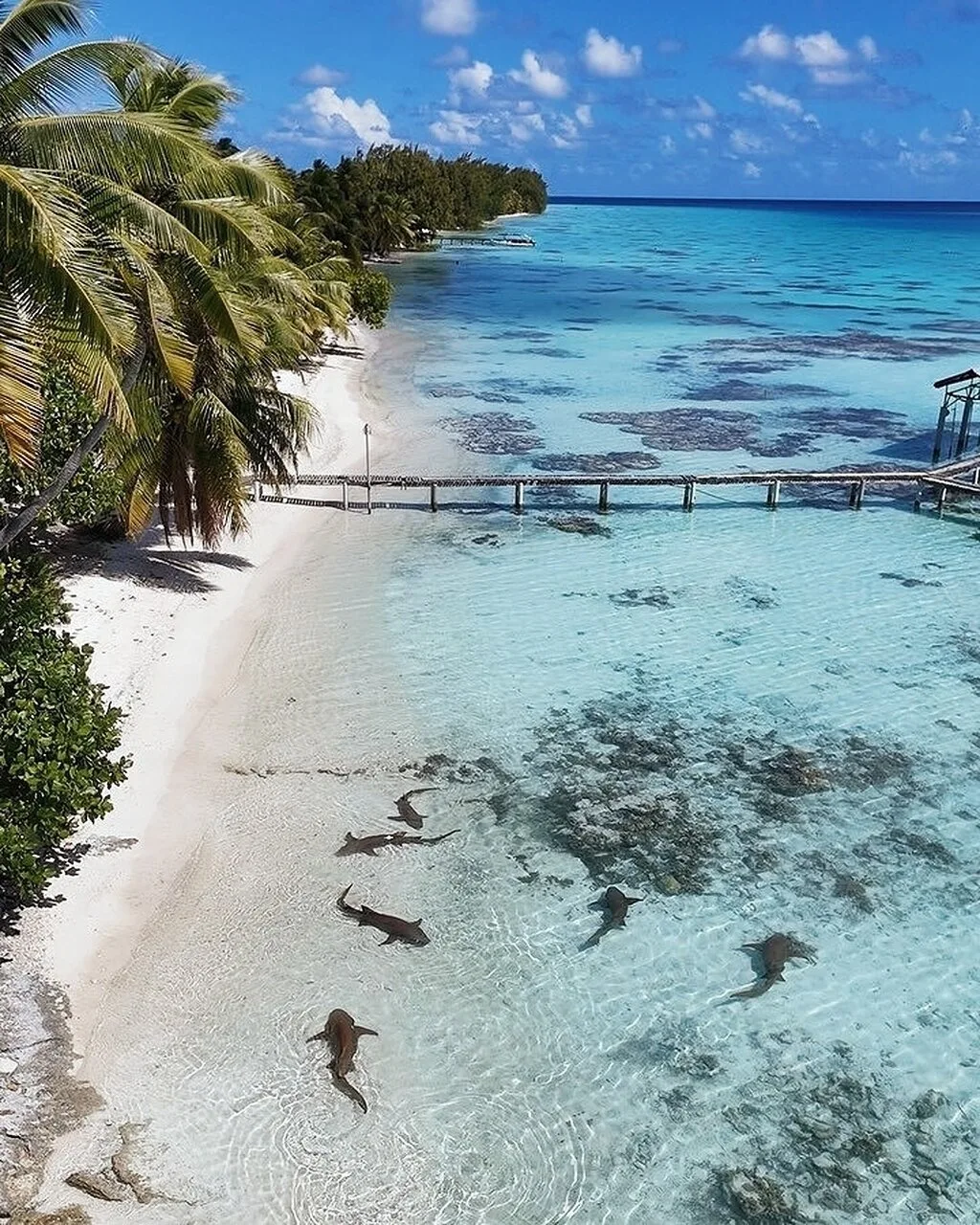 Факарава — коралловое сокровище Французской Полинезии🌴❤