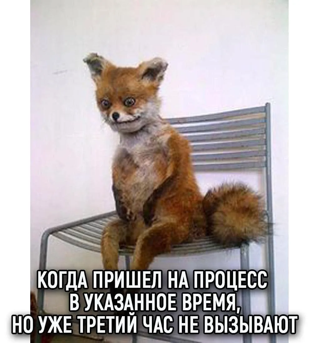 Суды общей юрисдикции такие 🥲