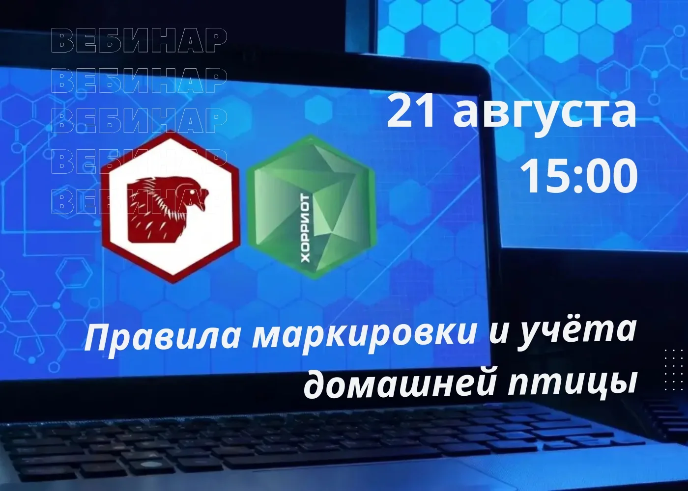 📣 Департамент агропромышленного комплекса ЯНАО приглашает на вебинар «Правила маркиров...
