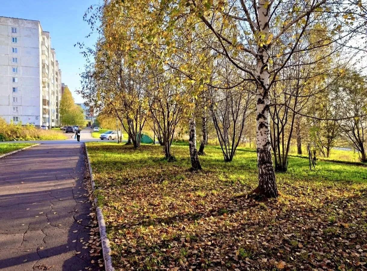 Осень в кадре.