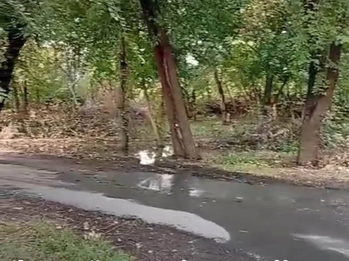 Коммунальные стоки затопили улицу Каманина