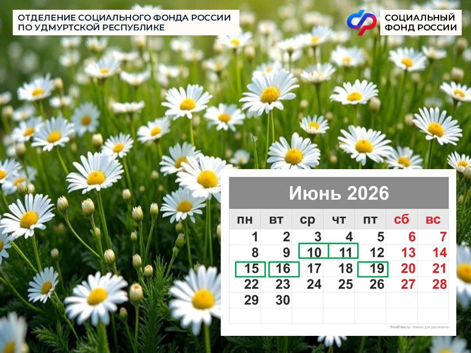 🗓️ Дни зачисления пенсий жителям Удмуртии – 10, 11, 15, 16 и 19 июня

Обратите внимание, что в теку