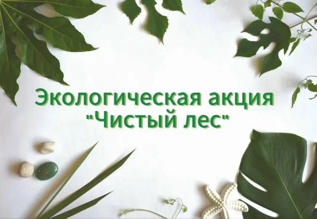 ❗Приглашаем принять участие в акции по уборке лесной территории нашего города!
