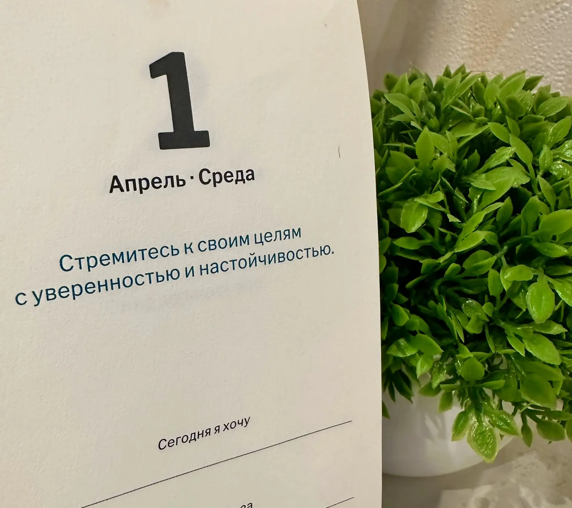 Доброе утро☀️❤️