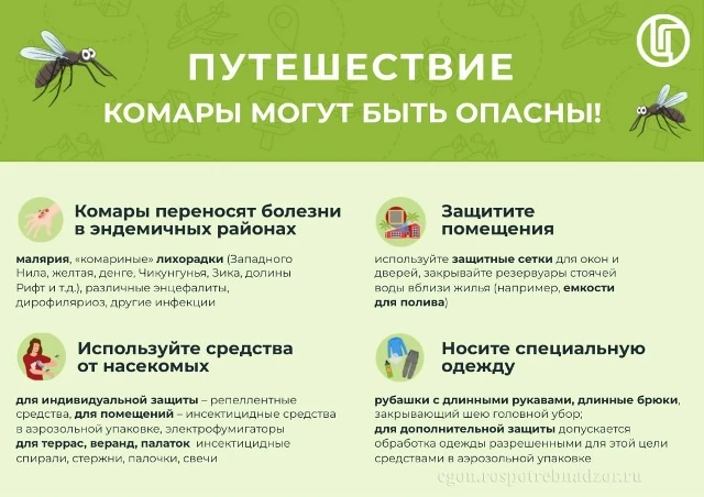 20 августа – Всемирный день борьбы с комарами🦟🌏