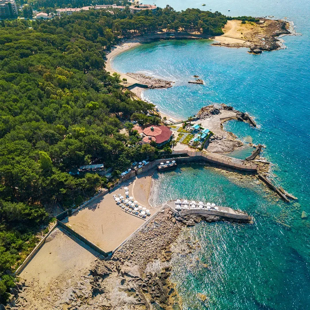 ✨ Modern Saraylar