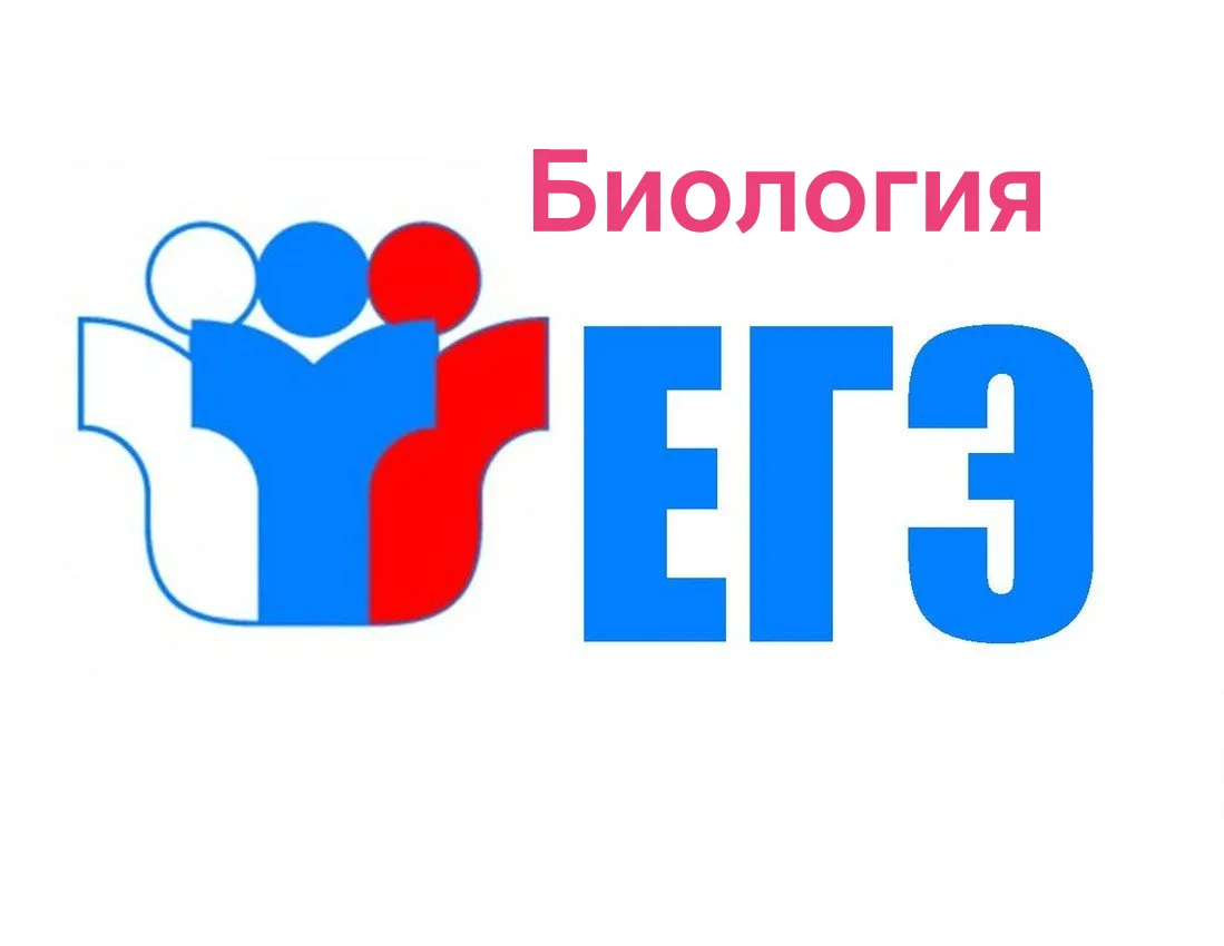 Сегодня, 15 июня 2026 года,  наши выпускники сдают ЕГЭ по биологии. После упорной подготовки они гот