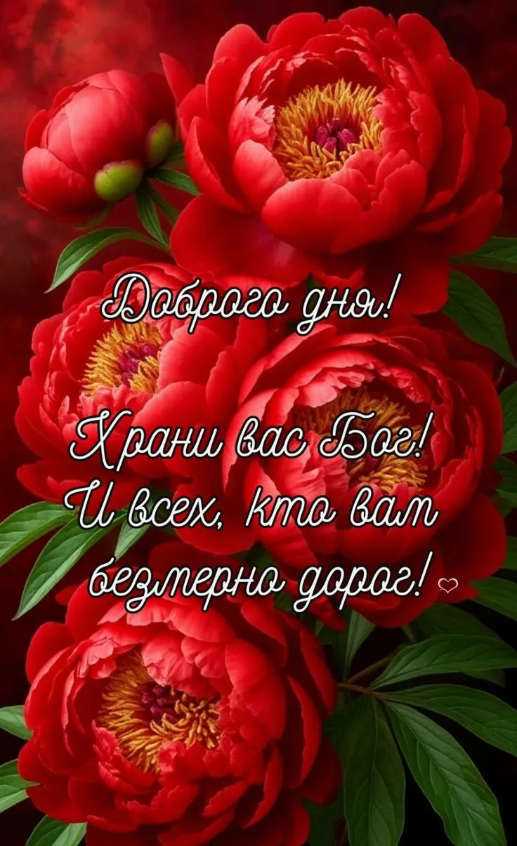 Открытки - отправь открытку❤️