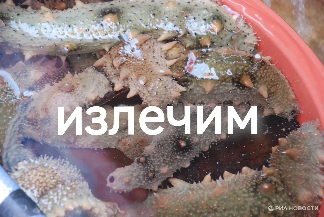 Огурец против рака груди