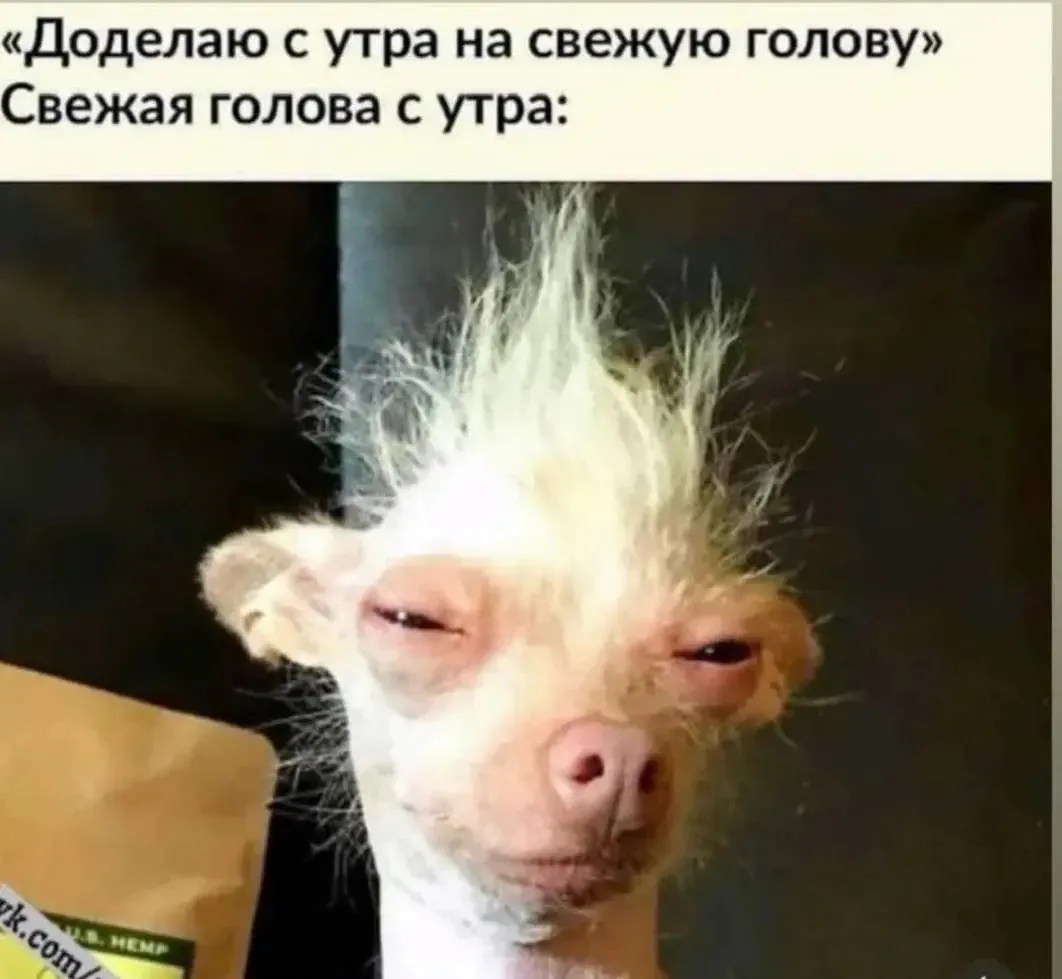 Всем доброе утро 🤭

До выходных осталось совсем немного!
