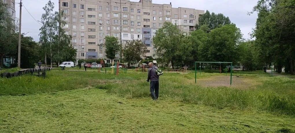 Бригада косарей МУП "КОМСЕРВИС" продолжает плановые работы по покосу травы на территори...