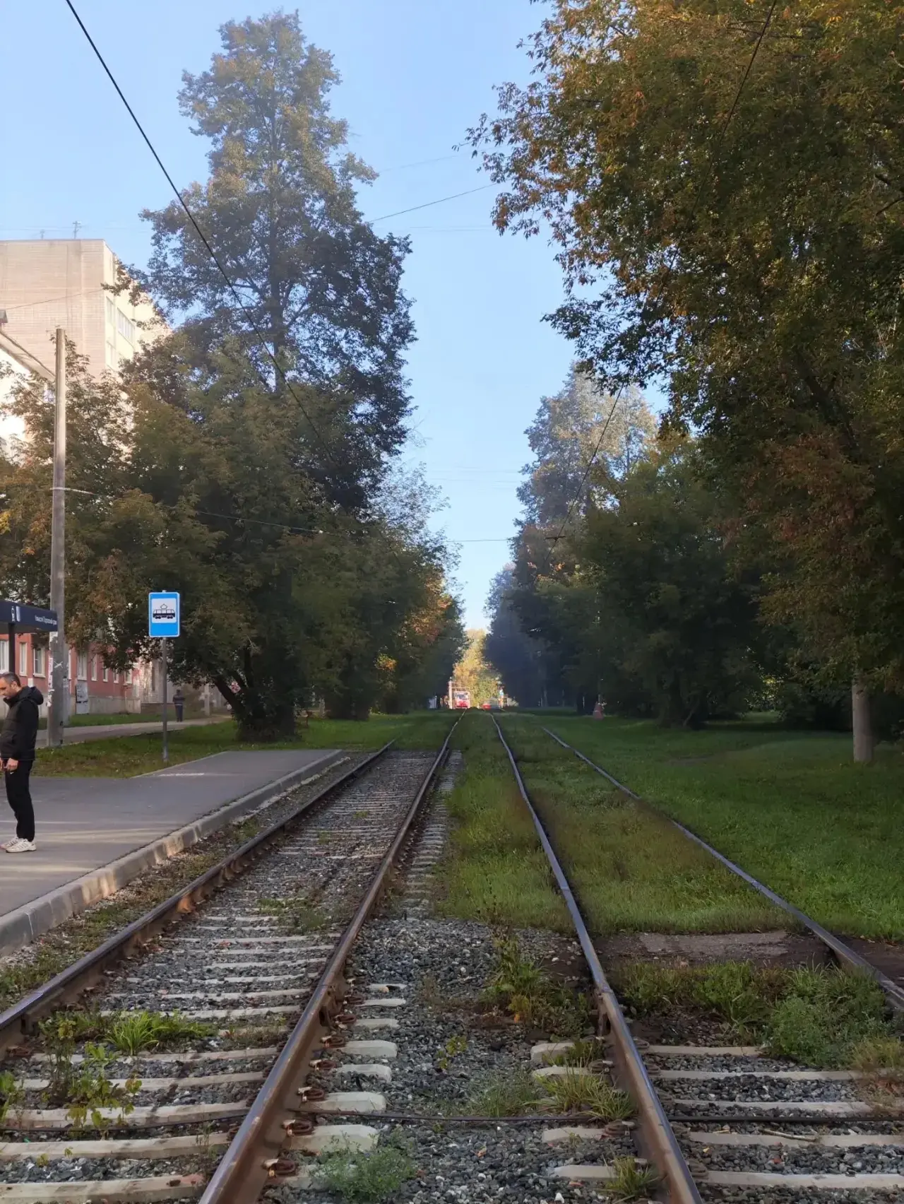 Доброе, туманное утро🌫️