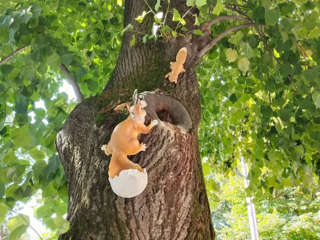 🐿 Белочки в Ессентуках: милый повод остановиться и улыбнуться!