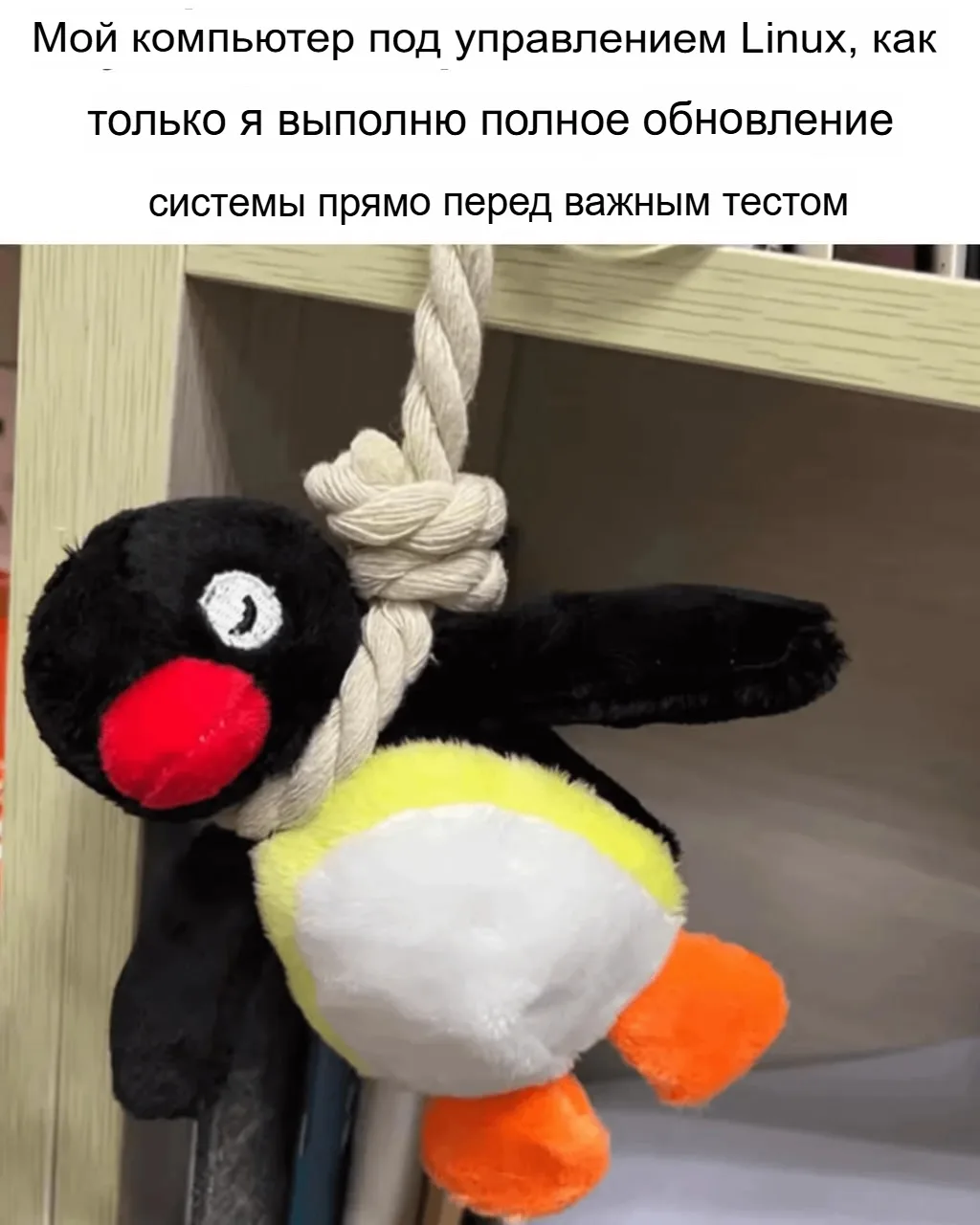 @linux0ids