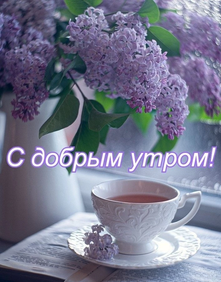 Доброе утро!