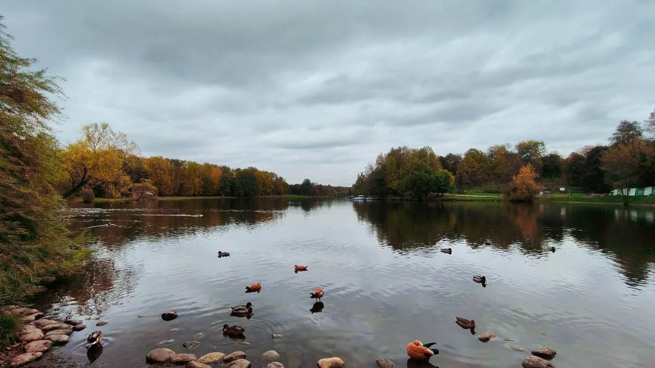 Дождливый день в парке ☔ Ну до чего же красивое время года! 🍁
