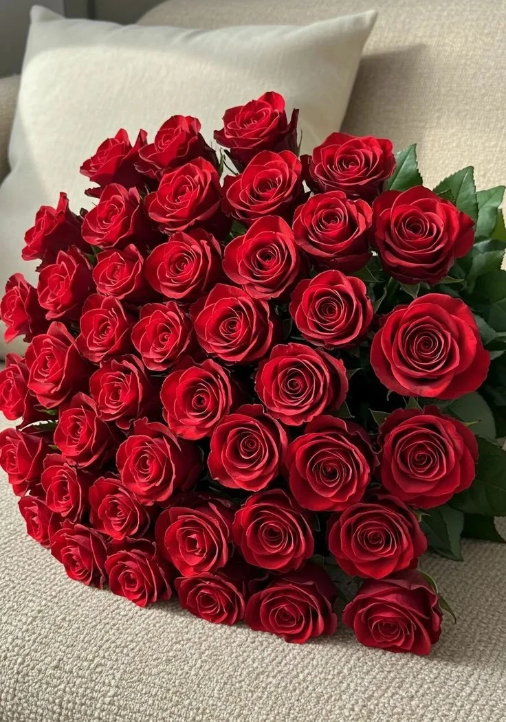 Хөрмәтле укытучы һөнәренә ия язылучыларым!🌹🌹🌹