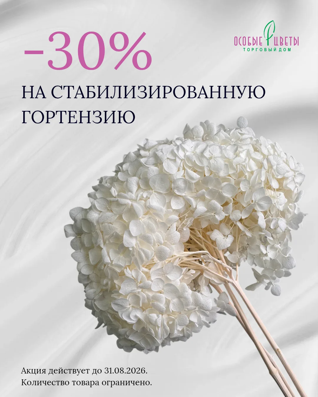 🌸 Белая гортензия – одна из самых универсальных позиций во флористике. Она добавляет р...