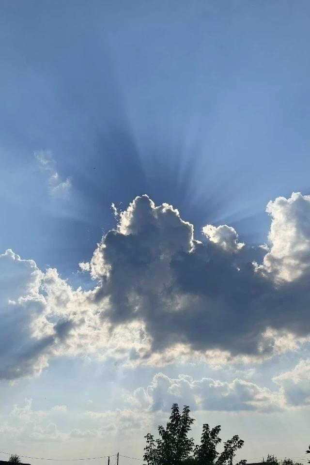 ПРОГНОЗ ПОГОДЫ НА 9 ИЮЛЯ

⛅⛈ В Туринском МО облачно с прояснениями, кратковременные дожди, местами с