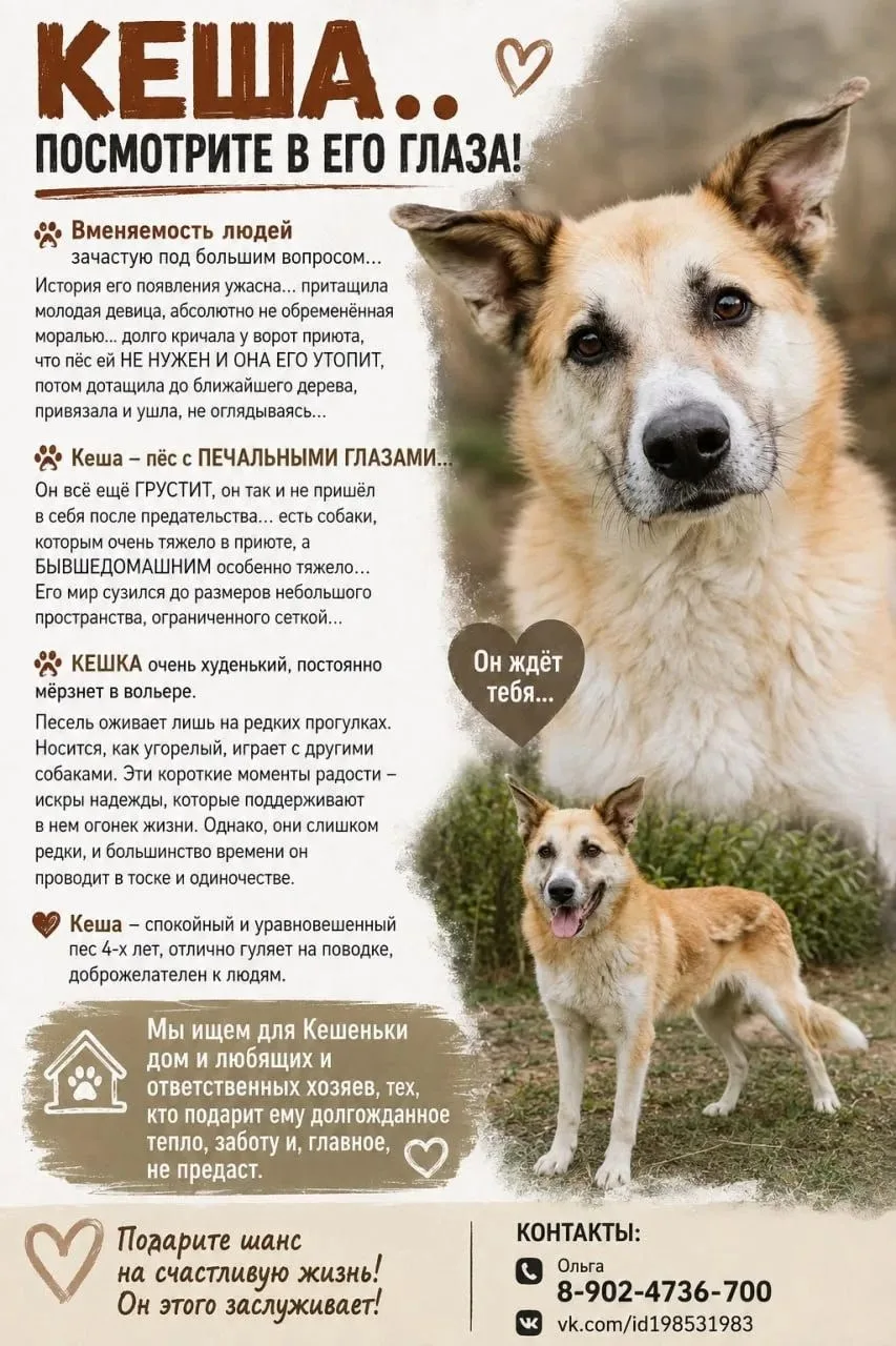 КЕША…