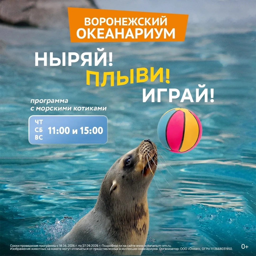Готовы к самому "кото-спортивному" шоу этого лета? Вот Блэк и Мира точно готовы ✅ Сейчас расскажем, 