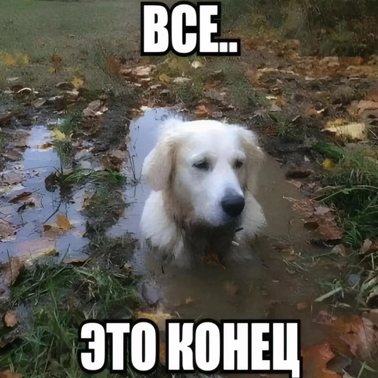 Здравствуйте,уже отбой беспилотной опасности был,но интернет не включают, мегафон не ра...