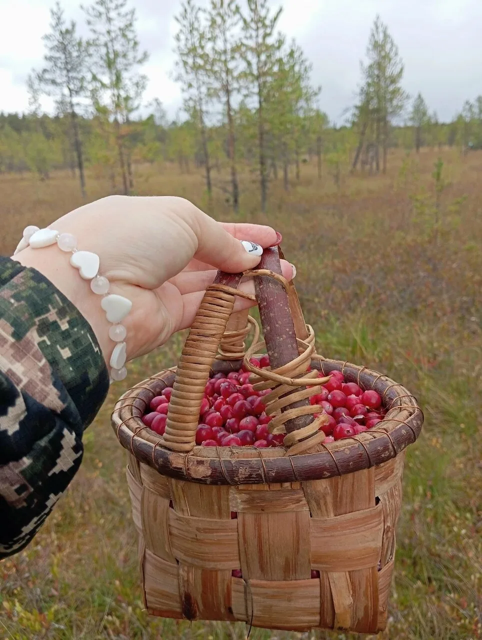 Сезон клюквы открыт! ❤