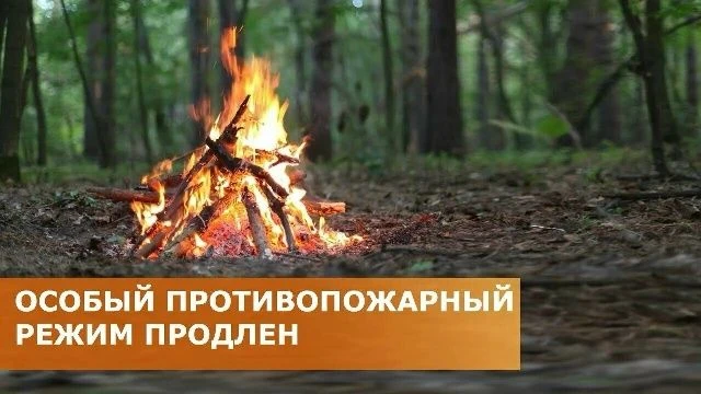 Севастополь продлил особый противопожарный режим.