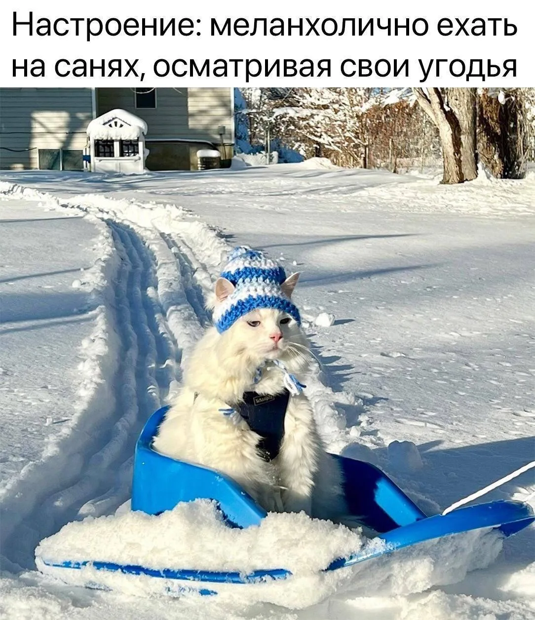 🎄 Тем временем, до Нового года осталось 87 дней