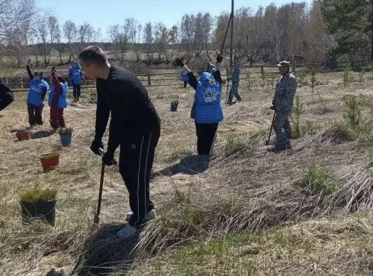 🌲🌲🌲В Алейске полицейские, волонтёры, общественники и ветераны МВД приняли участие в международной ак