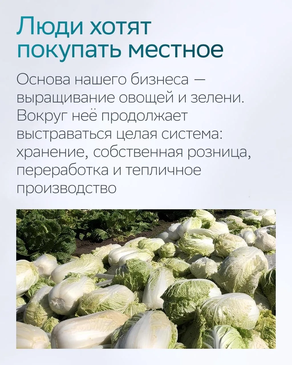 Изображение 4 к публикации «СберБизнес»