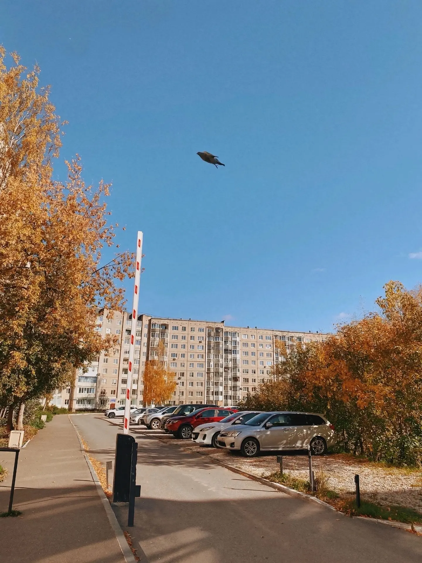 💸 Березники, уже в октябре коммунальные платежи могут снова вырасти, и после этой ново...